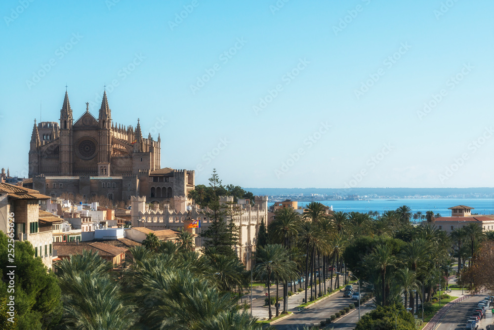 Panoramic view of the city centre Palma  with Ancient Cathedral de Santa Maria in Palma de Mallorca, Balearic islands, Spain