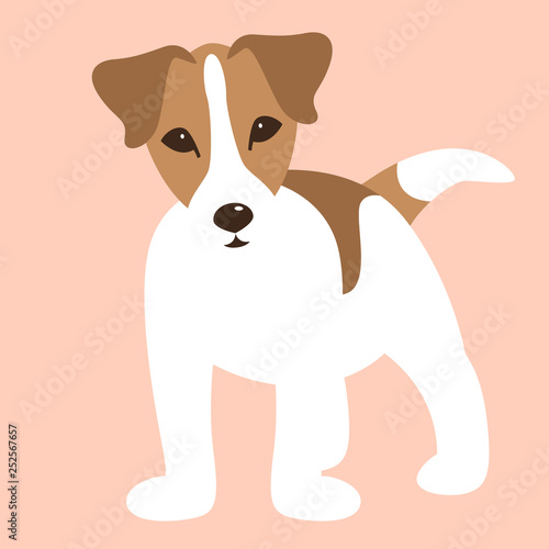 Russell Terrier puppy,   vector illustration,