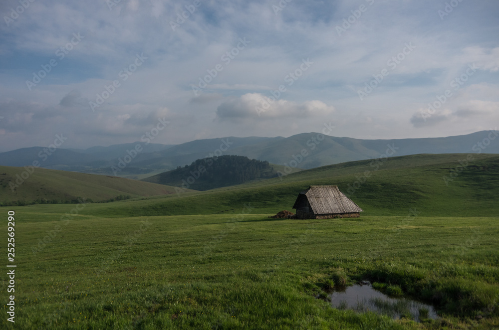 Sheep house in middle of mountain pasture in Zlatibor, Serbia. Idyllic rural scene