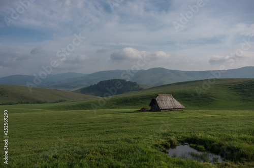 Sheep house in middle of mountain pasture in Zlatibor, Serbia. Idyllic rural scene