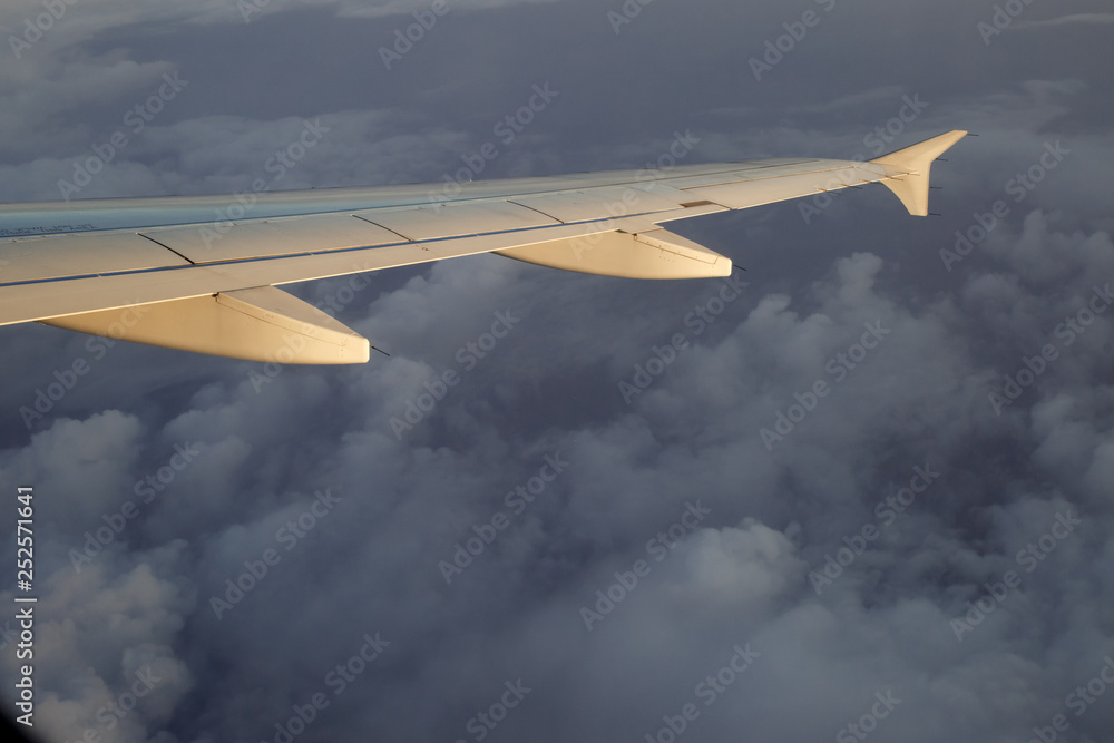 view from under the wing of the plane view from under the wing of the plane