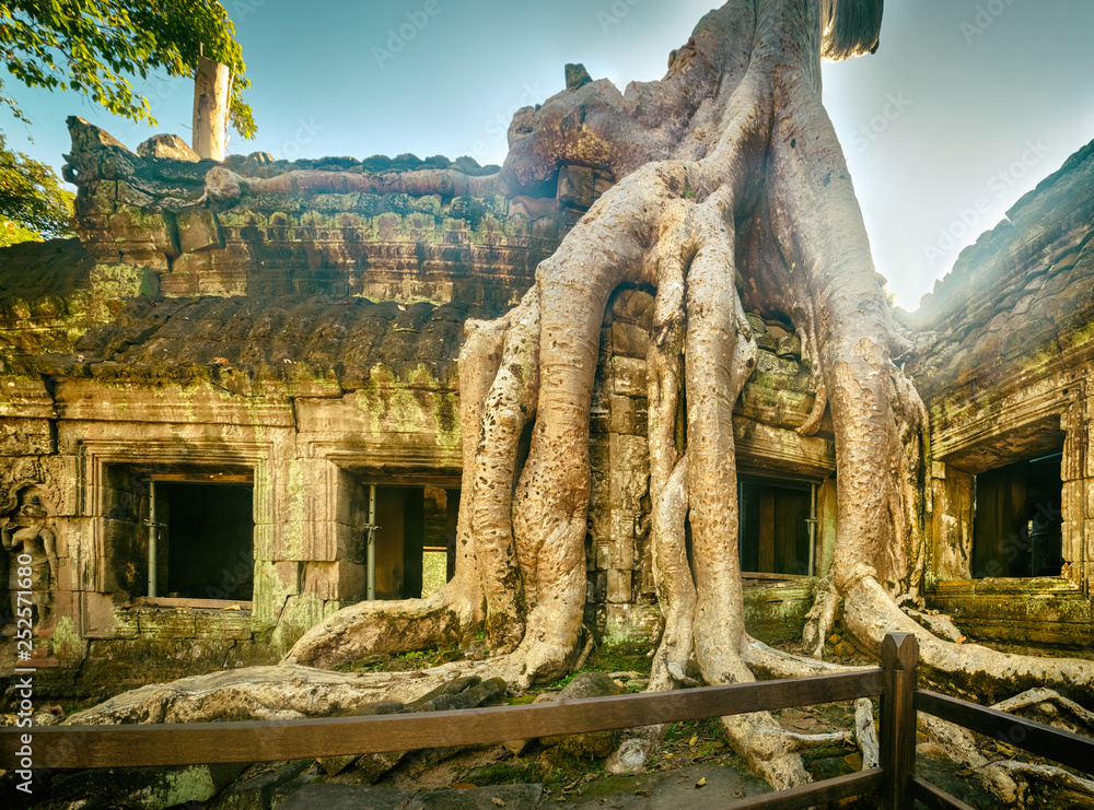 Fototapeta premium Ta Prohm temple panorama. Siem Reap. Cambodia