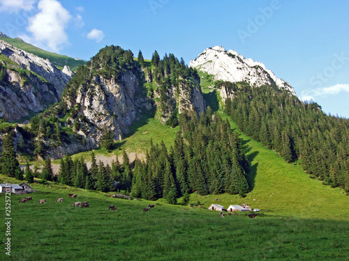 Alpine pastures and meadows on the slopes of Alpstein mountain range and in the river Thur valley - Cantons of St. Gallen and Appenzell Innerrhoden, Switzerland photo