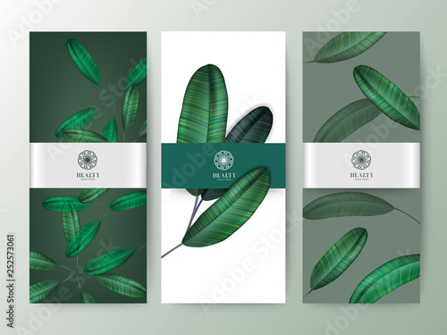 Branding Packaging tropical plant leaf summer pattern background, for spa resort luxury hotel, logo banner voucher, fabric pattern, organic texture. vector illustration.