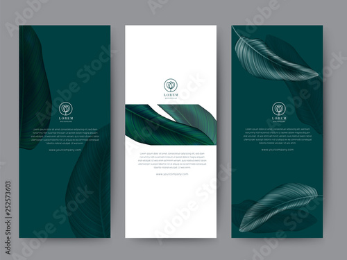 Branding Packaging tropical plant leaf summer pattern background, for spa resort luxury hotel, logo banner voucher, fabric pattern, organic texture. vector illustration.