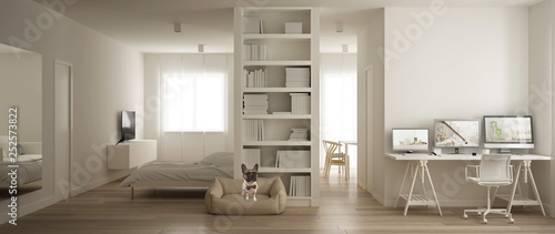 Panoramic view of one room apartment with Murphy wall bed  living room and home workplace  dog bed with french bouledogue. Parquet floor  minimalist white interior design concept idea