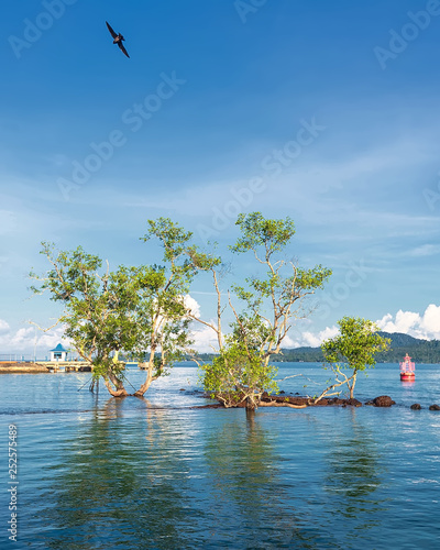 Photo Panorama Daylight of wonderful bintan Indonesia