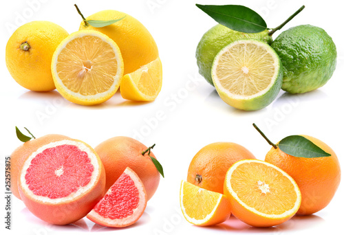 Citrus fruits on a white background