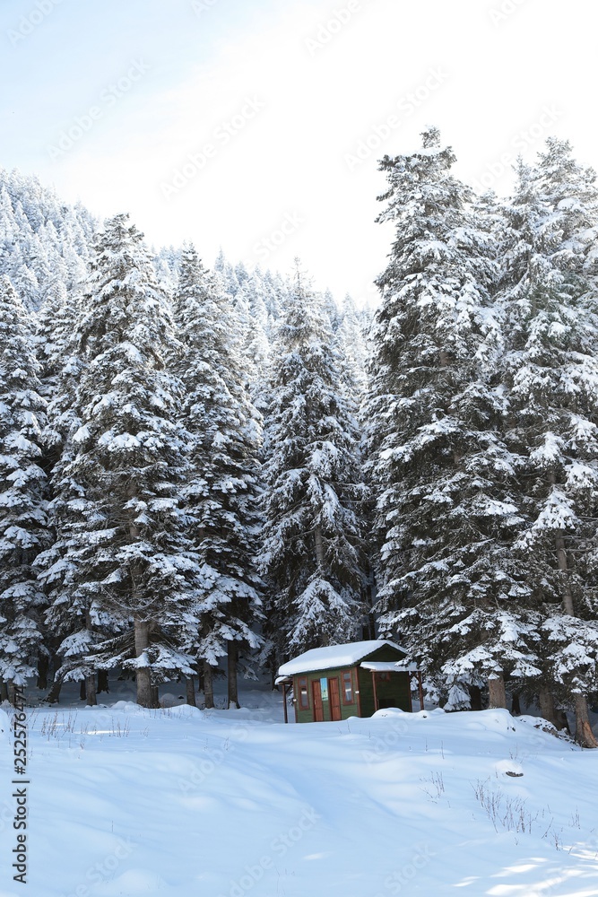 winter view karadeniz artvin savsat winter view karadeniz artvin savsat