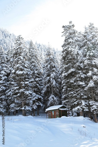winter view karadeniz artvin savsat © murat