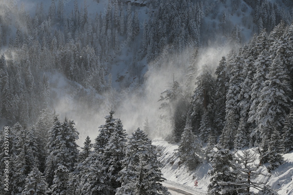 Fototapeta premium winter view karadeniz artvin savsat