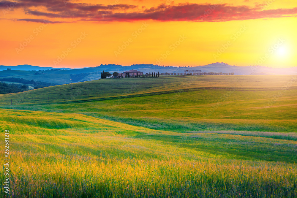 Amazing Tuscany landscape with colorful sunset and grain fields, Italy
