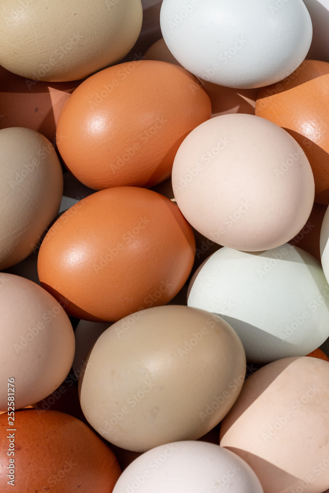 Plain multicoloured free range eggs full frame background Plain multicoloured free range eggs full frame background