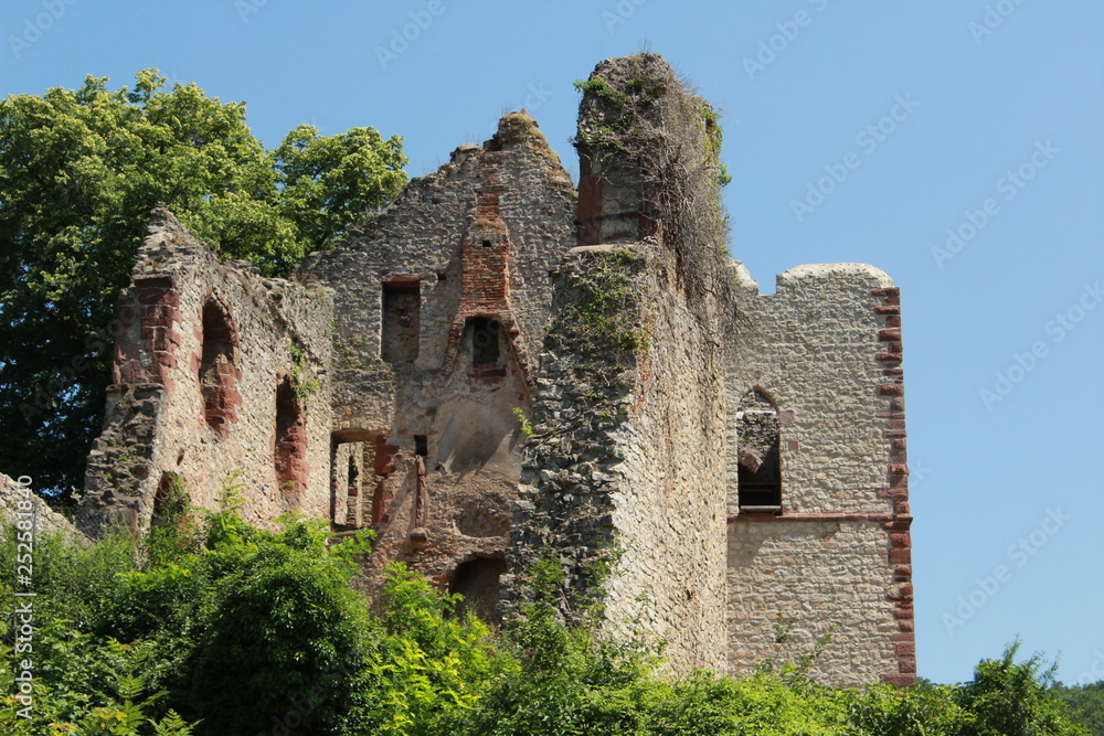 Fototapeta premium Landeck Ruine