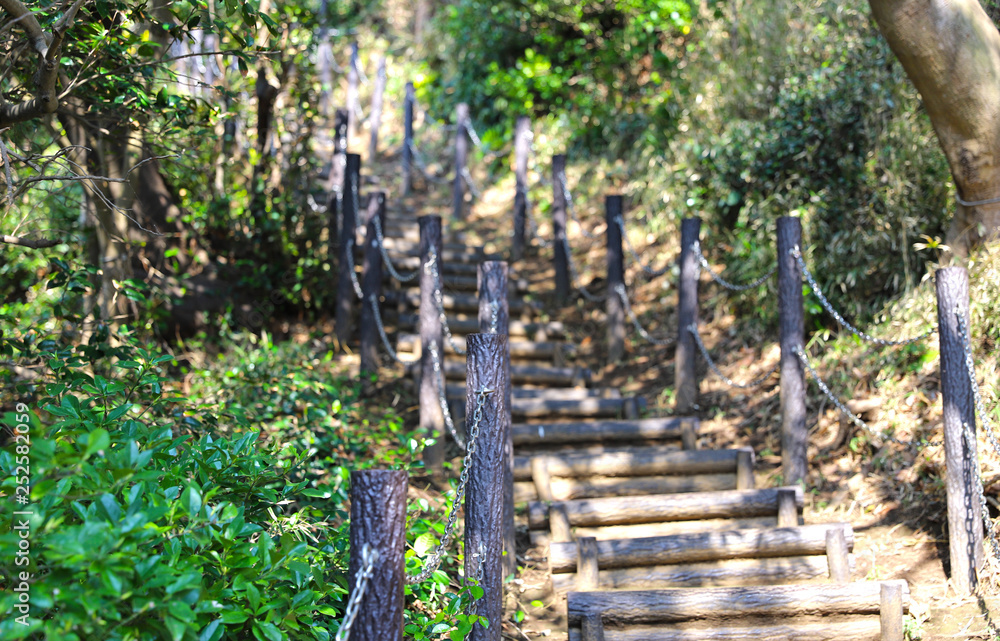 横須賀 観光名所 無人島 猿島の階段 Stock 写真 Adobe Stock