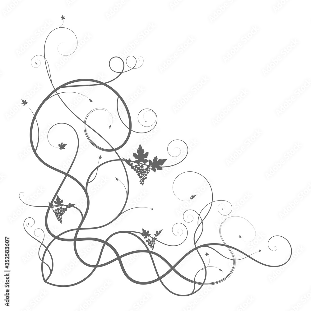 vine vine plexus triangle branch on white