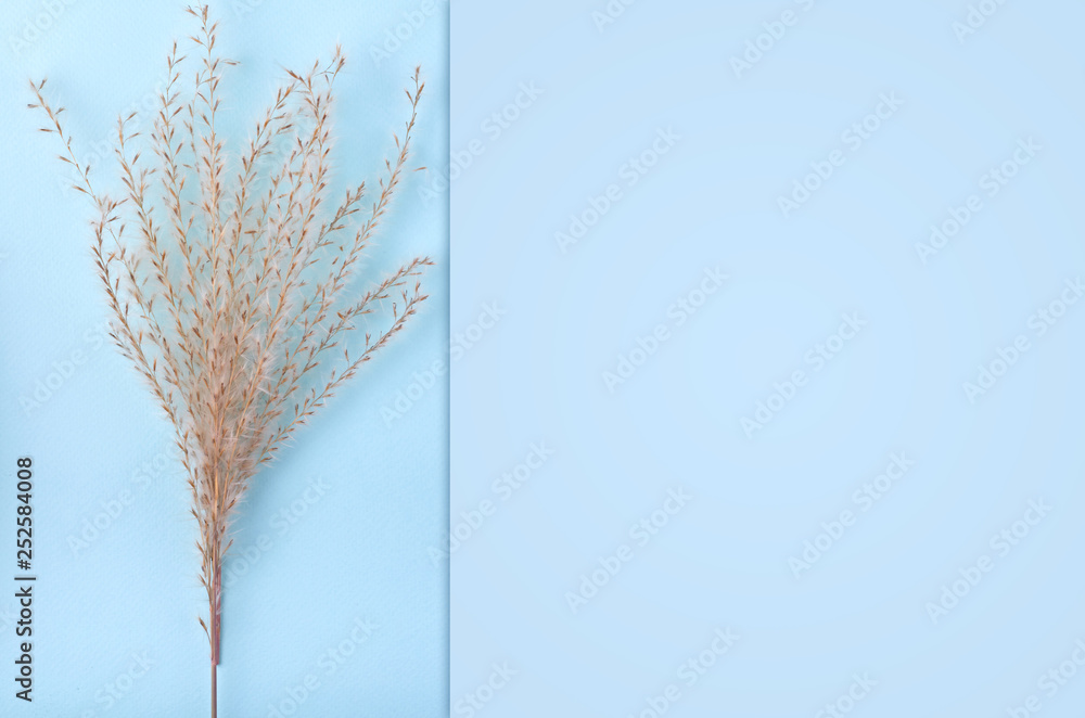 Fototapeta premium Leaves composition. Nature concept background. Flat lay and top view photo