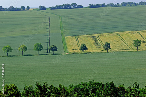 04.06.2018 DE, NRW, Thuir, Biesberg Agrarwste , Intensive Landwirtschaft Agrarwste photo