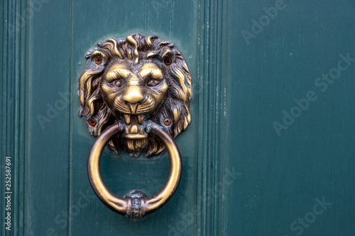 Canvas Print Golden door knocker in the shape of lion with ring on a wooden door