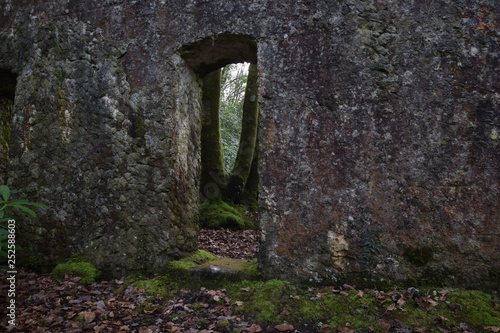Photography The ruins of Tivoli Park Lerryn Cornwall