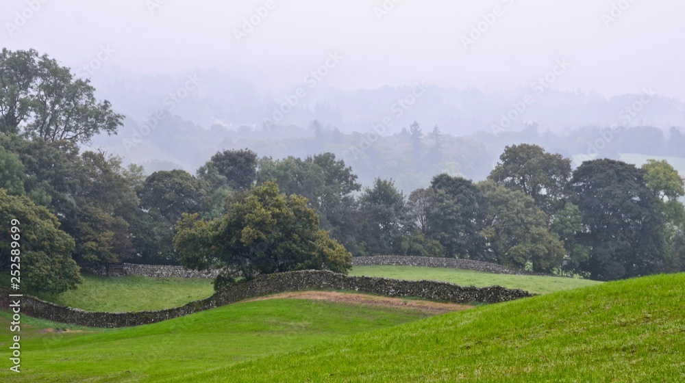 Obraz premium Misty Morning