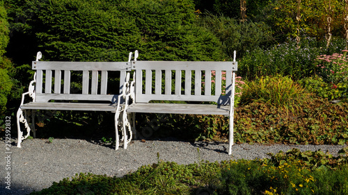 Deux bancs blancs en bois dans un parc photo