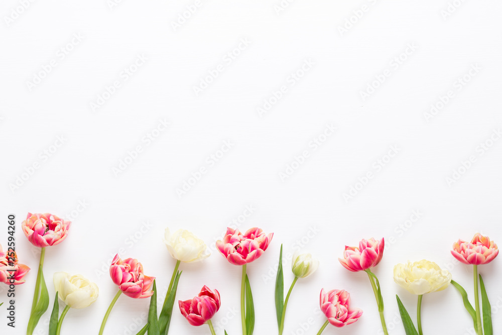 Spring flowers tulips on pastel colors background. Retro vintage style.