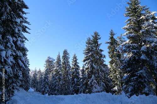 winter view karadeniz artvin /savsat/turkey