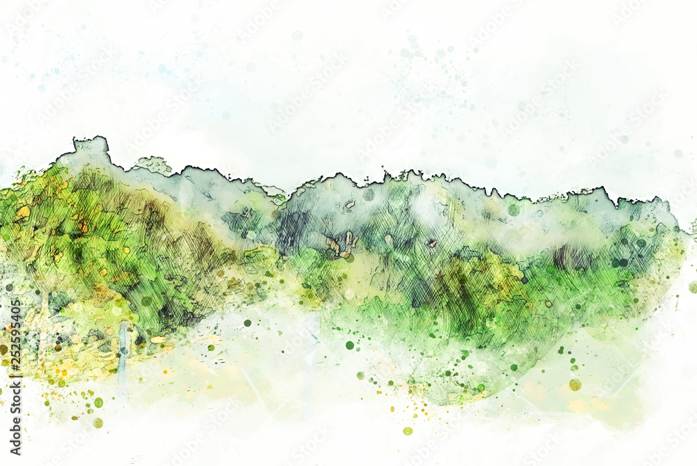 Obraz premium Abstract color mountain peak and tree watercolor illustration painting background.