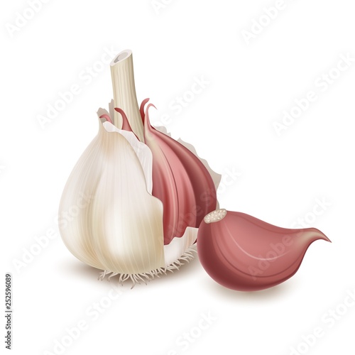 Realistic garlic isolated on white background. Vector illustration