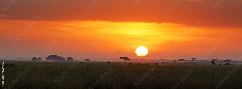 Sunrise in Amboseli National Park - obrazy, fototapety, plakaty 