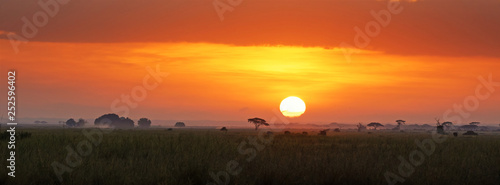 Sunrise in Amboseli National Park