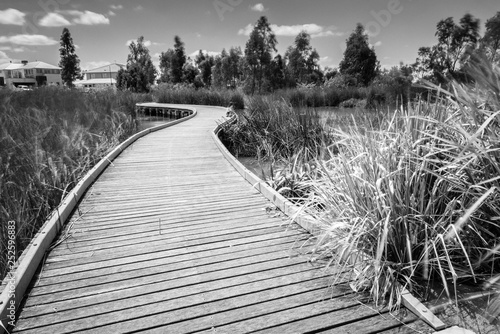 Tenterfield park, Burnside, Victoria photo