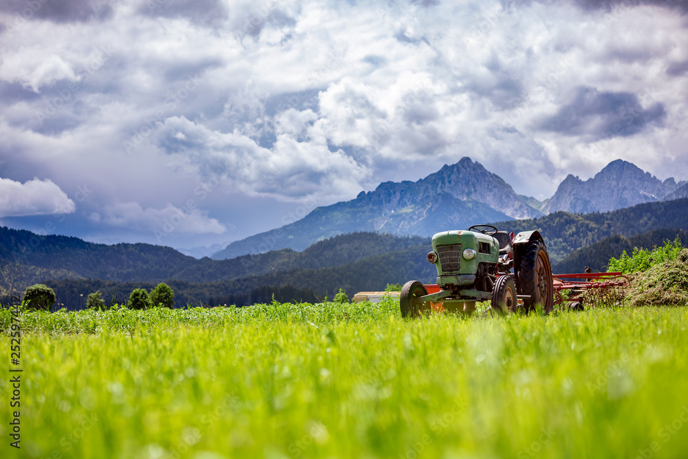 Naklejka premium Old tractor in the Alpine meadows