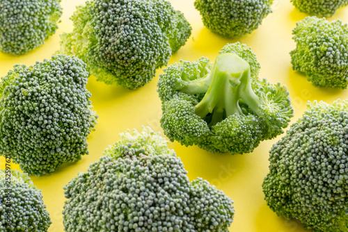 Fresh green broccoli on yellow background. photo