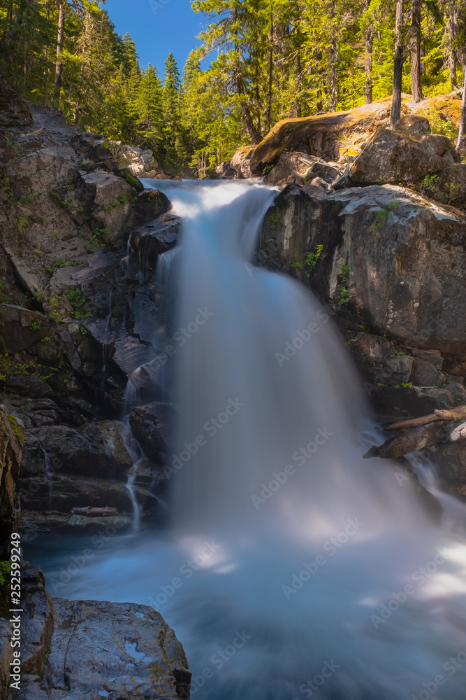 Fototapeta premium The Ohanapecosh River cascades Silver Falls at Mount Rainier National Park