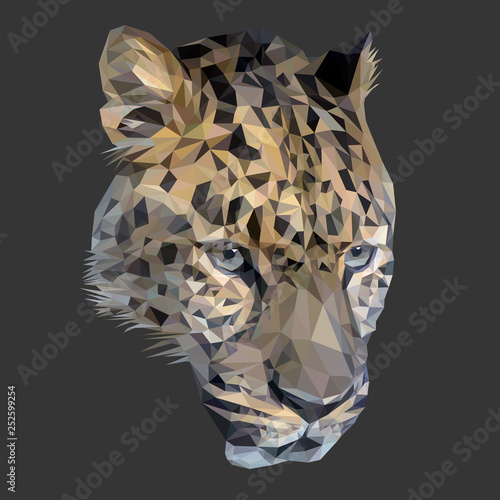 Cheetah cat low poly design. Triangle vector illustration.