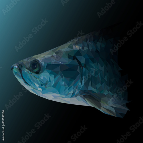 Blue fish animal low poly design. Triangle vector illustration.