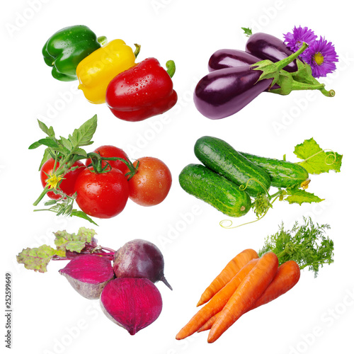 Set of vegetables on a white background. Tomatoes, eggplants, pumpkins, cucumbers, cabbage, sweet peppers. © yrafoto