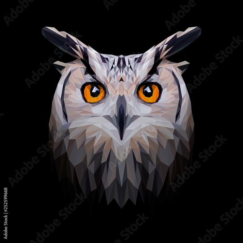 Owl low poly design. Triangle vector illustration.