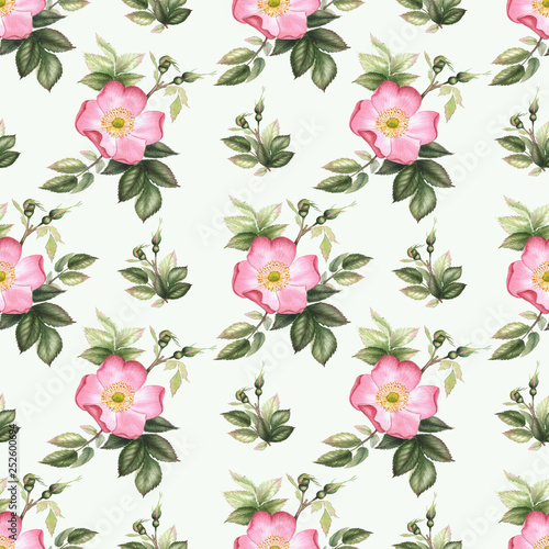 Roses. Watercolor flower seamless pattern.