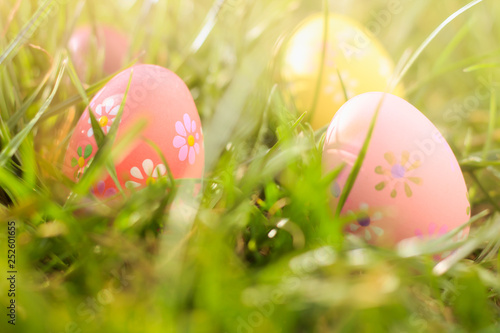 Colorful easter eggs on the sunny green meadow.