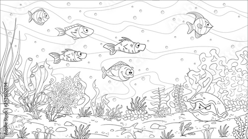 Coloring book underwater landscape. Hand draw vector illustration with separate layers.