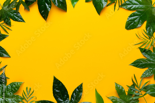  Green plant on the yellow background. Retro vintage style.