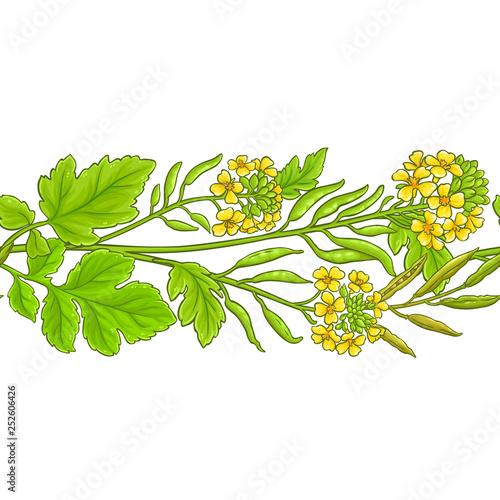 mustard vector pattern