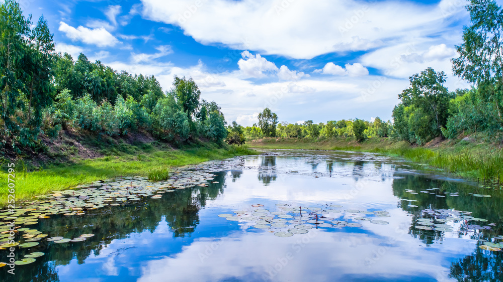 Fototapeta premium Canals in the countryside 8