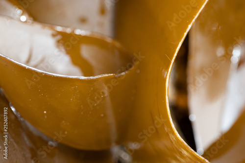Kelp - Laminaria