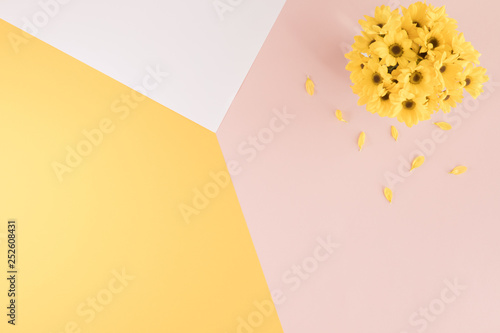 Summer flatlay composition. Yellow flowers on pastel yellow pink and white mu...