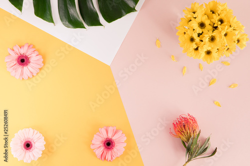 Summer flatlay composition. Yellow flowers on pastel yellow pink and white mu...