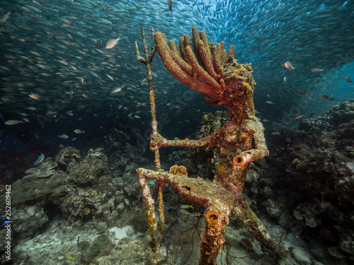 Bild auf Leinwand Seascape of coral reef in the Caribbean Sea around Curacao at dive site Playa Gr